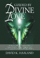 bokomslag Guided by Divine Love