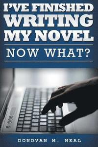 bokomslag I've Finished My novel: Now What?