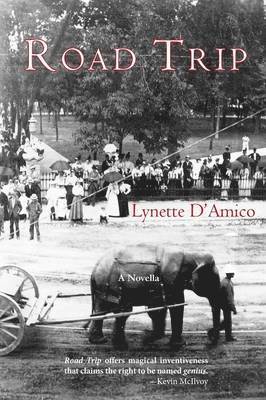 Lynette D'Amico - Road Trip, Häftad