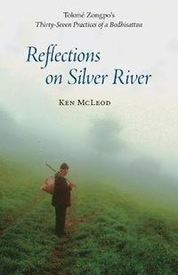 bokomslag Reflections on Silver River