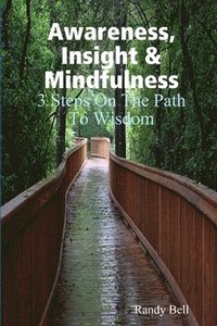 bokomslag Awareness, Insight & Mindfulness