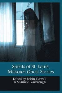 bokomslag Spirits of St. Louis