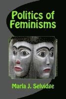 bokomslag Politics of Feminisms