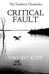 bokomslag Critical Fault