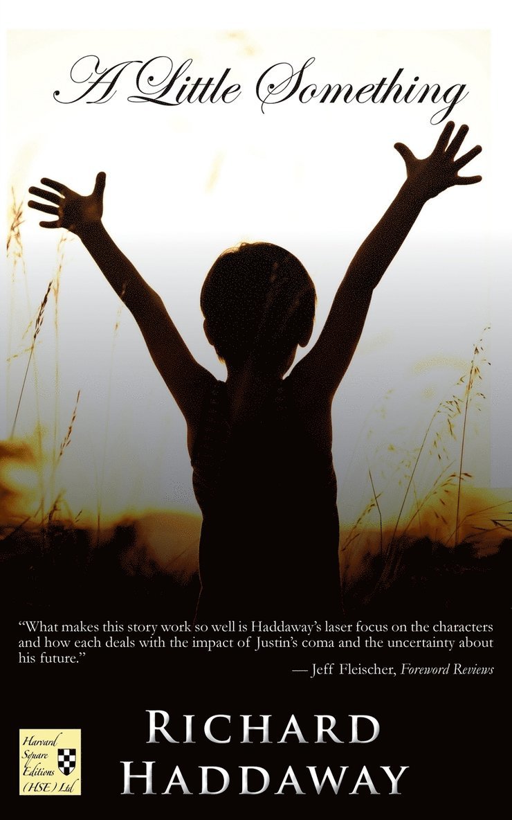 Richard Haddaway - Little Something, Häftad