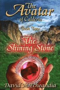 bokomslag The Avatar of Calderia: Book Two: The Shining Stone