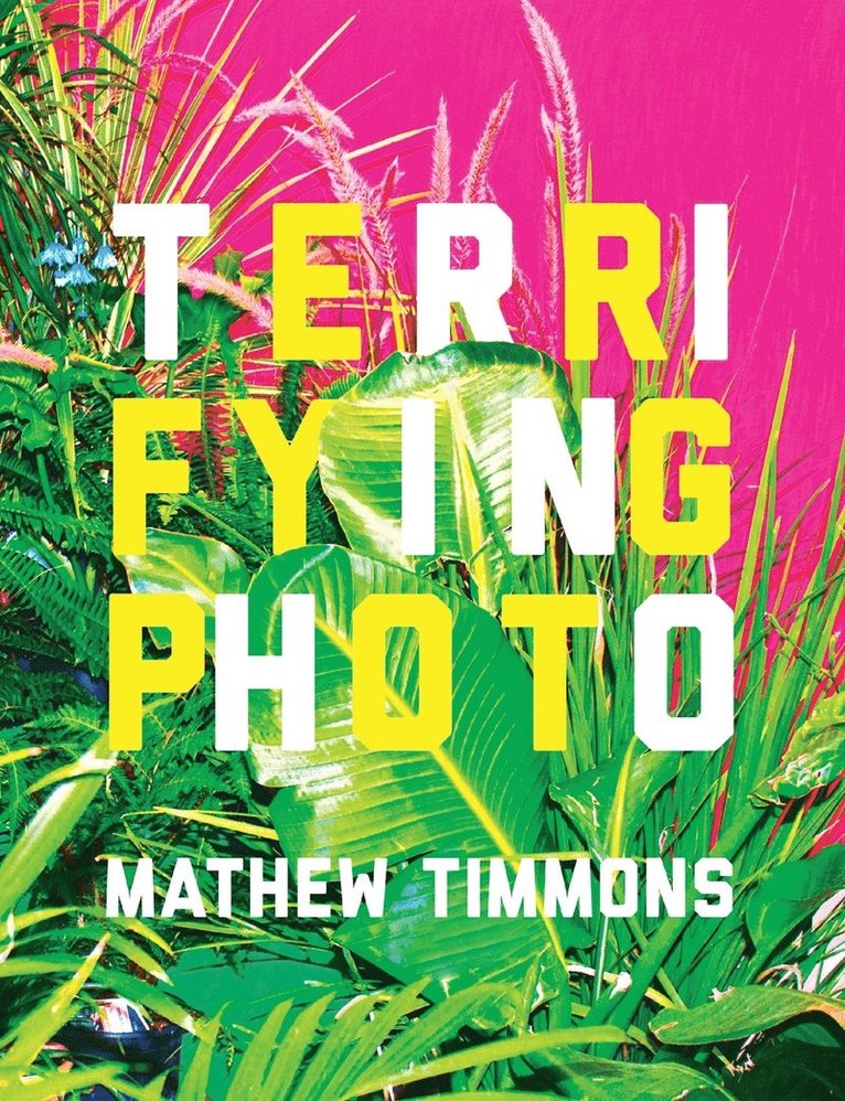 Mathew Timmons - Terrifying Photo, Häftad