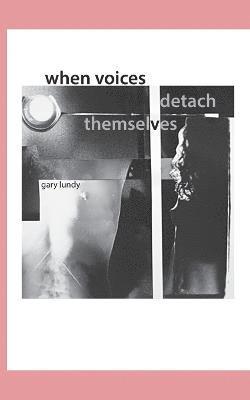 bokomslag When Voices Detach Themselves