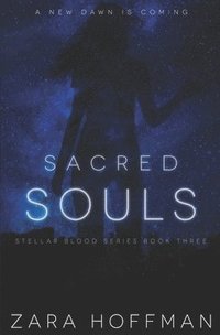 bokomslag Sacred Souls