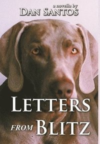 bokomslag Letters from Blitz