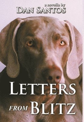 Letters from Blitz 1