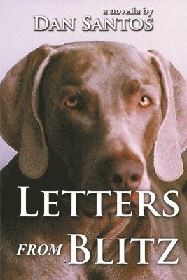 Letters from Blitz 1