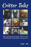 bokomslag Critter Tales