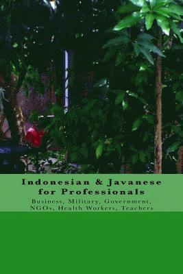 Galang Lufityanto, Monique Vanderharst - Indonesian & Javanese for Professionals, Häftad