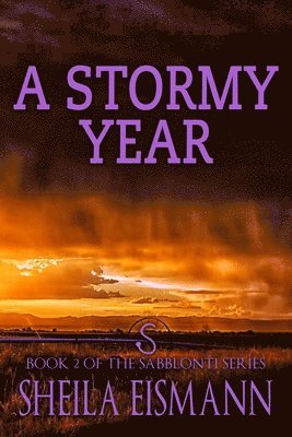 bokomslag Stormy Year