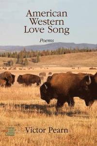 bokomslag American Western Love Song
