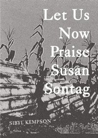 bokomslag Let Us Now Praise Susan Sontag