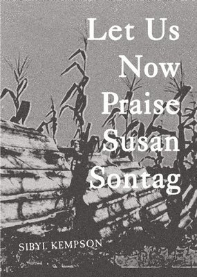 Let Us Now Praise Susan Sontag 1