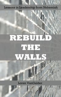 bokomslag Rebuild the Walls