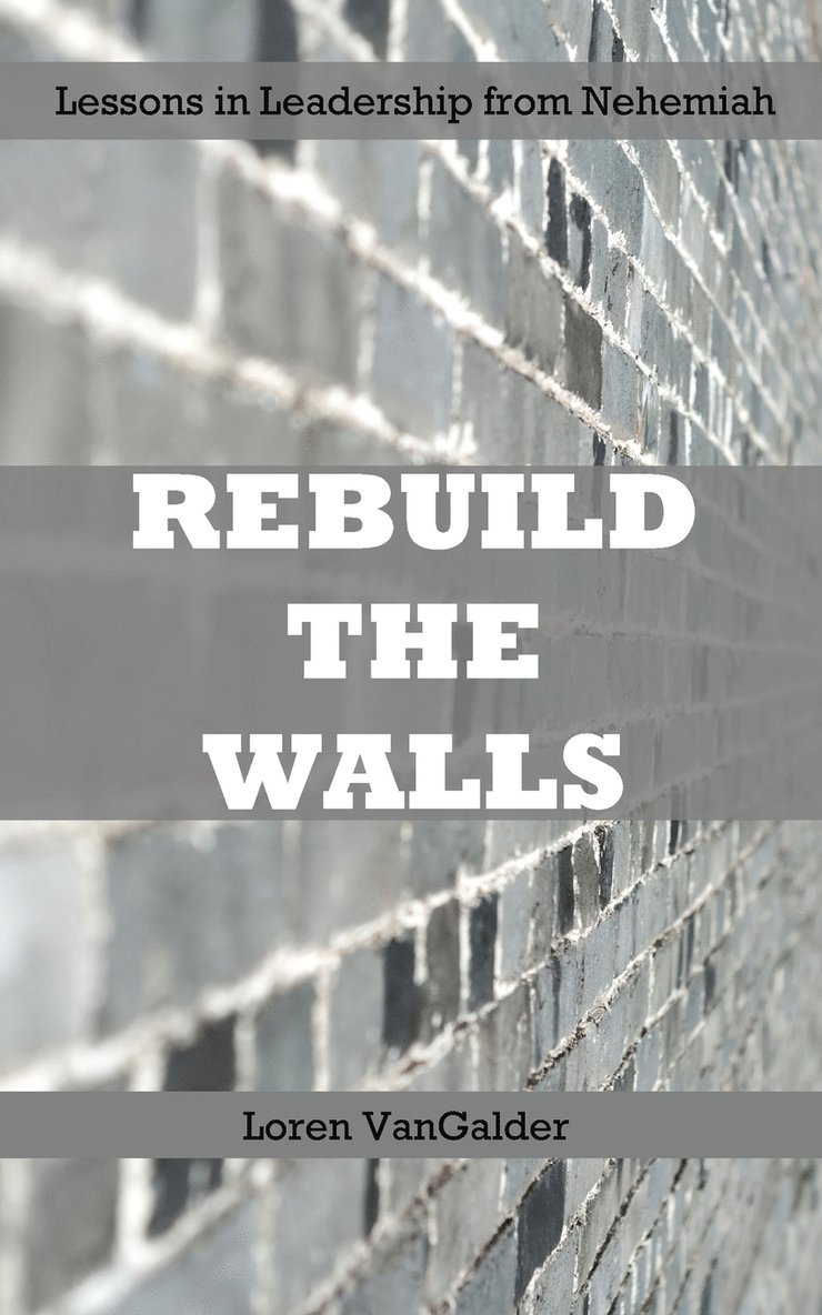 Loren Vangalder, Loren VanGalder - Rebuild the Walls, Häftad