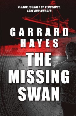 bokomslag Missing Swan