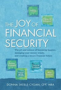 bokomslag Joy of Financial Security