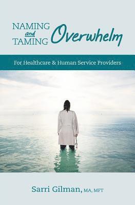 bokomslag Naming and Taming Overwhelm: For Healthcare and Human Service Providers