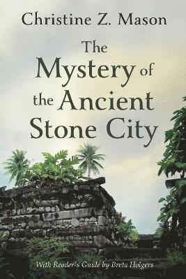 bokomslag Mystery of the Ancient Stone City