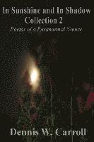 In Sunshine and In Shadow Collection 2: Poems of a Paranormal Nature