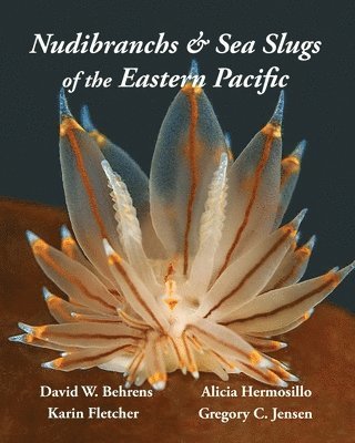 bokomslag Nudibranchs & Sea Slugs of the Eastern Pacific