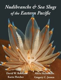 bokomslag Nudibranchs & Sea Slugs of the Eastern Pacific