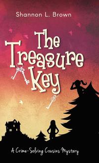 bokomslag The Treasure Key