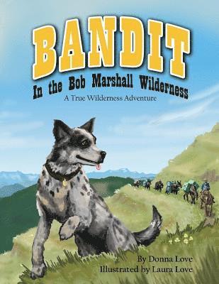 bokomslag Bandit In The Bob Marshall Wilderness: A True Wilderness Adventure