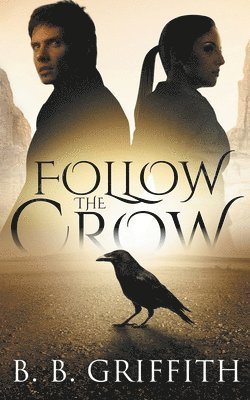 bokomslag Follow the Crow (Vanished, #1)