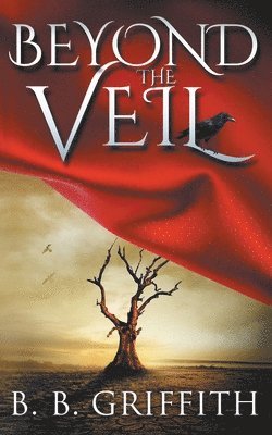 bokomslag Beyond the Veil (Vanished, #2)