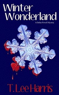 bokomslag Winter Wonderland