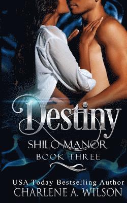 Charlene a. Wilson - Destiny: Multi-Dimensional Soul Mates, Häftad