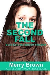 bokomslag The Second Fall