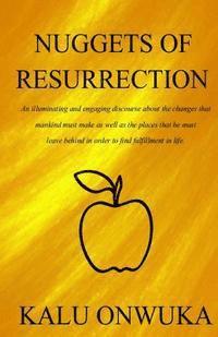 bokomslag Nuggets of Resurrection