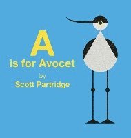 A is for Avocet 1