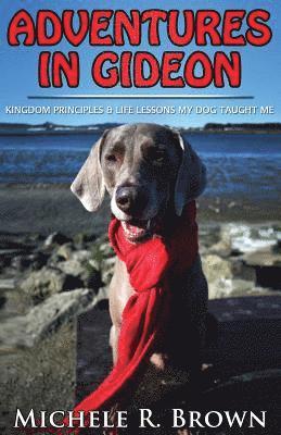 bokomslag Adventures in Gideon: Kingdom Principles & Life Lessons My Dog Taught Me