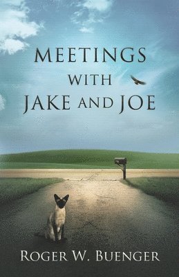 Meetings with Jake and Joe 1