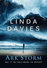 bokomslag Ark Storm