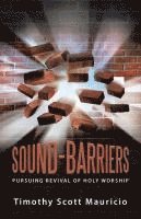 bokomslag Sound-Barriers