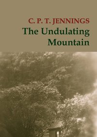 bokomslag The Undulating Mountain