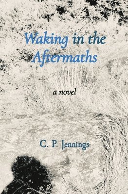 Waking in the Aftermaths 1