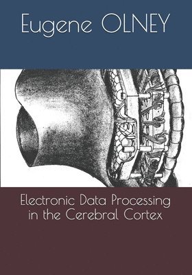 Electronic Data Processing in the Cerebral Cortex 1