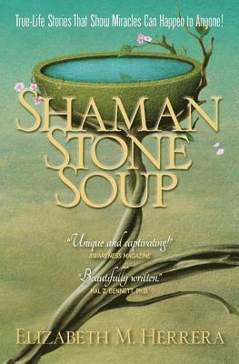 bokomslag Shaman Stone Soup