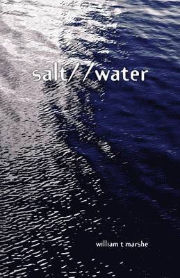 bokomslag salt/ /water