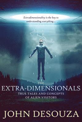 bokomslag The Extra-Dimensionals